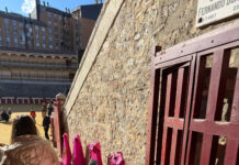 La Plaza de Toros de Valladolid acoge la exposición «Revoleras de Colores» de Mer Fidalgo con cerca de mil visitantes
