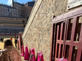 La Plaza de Toros de Valladolid acoge la exposición «Revoleras de Colores» de Mer Fidalgo con cerca de mil visitantes