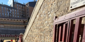 La Plaza de Toros de Valladolid acoge la exposición «Revoleras de Colores» de Mer Fidalgo con cerca de mil visitantes