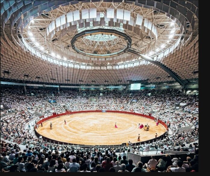 Screenshot_20251229_105900_Gmail