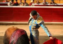 EL TORO EN LA TEMPORADA VENEZOLANA