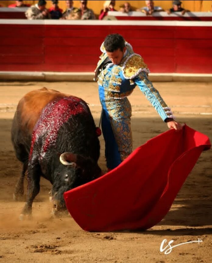 Toro de Santa Bárbara en Tovar